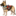 ?‍?